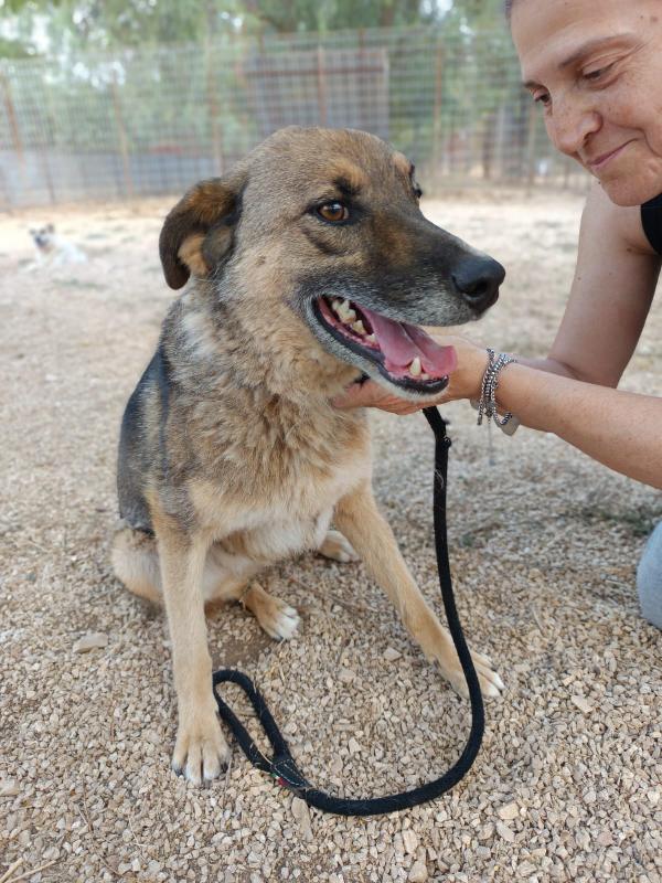 Pils 5 anni di tenerezza taglia media Foto 4